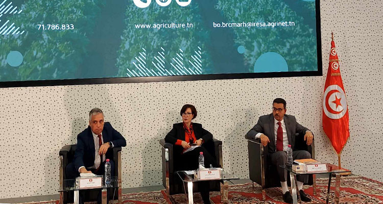 عبد الحميد منجة: وضعية المياه في تونس رغم التحسن مازالت حرجة