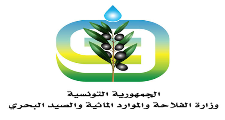 وزارة الفلاحة توصي الفلاحين بأخذ الاحتياطات اللازمة تحسبا لهبوب الرياح