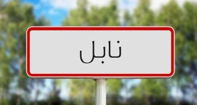 نابل: الإدارة الجهوية للسلامة الصحيّة للمنتجات الغذائية تقترح غلق 14 محلا لبيع المواد الغذائية