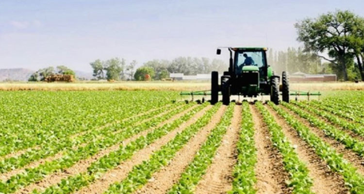 زغوان: المصادقة على 57 عملية استثمار في القطاع الفلاحي بقيمة تجاوزت 1 مليون دينار