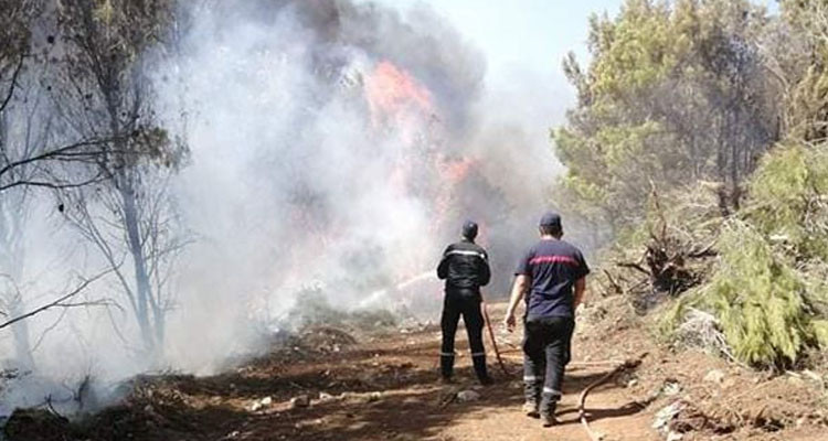 جندوبة: السيطرة على 3 حرائق في مناطق مختلفة