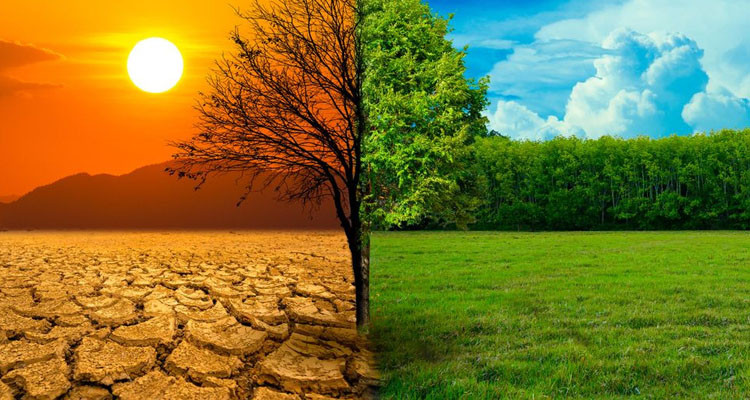 تونس من أكثر دول البحر الأبيض المتوسط تعرضا لتغير المناخ