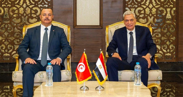 وزير الصحة في القاهرة يبحث آفاق التعاون في المجالات الصحية بين تونس ومصر