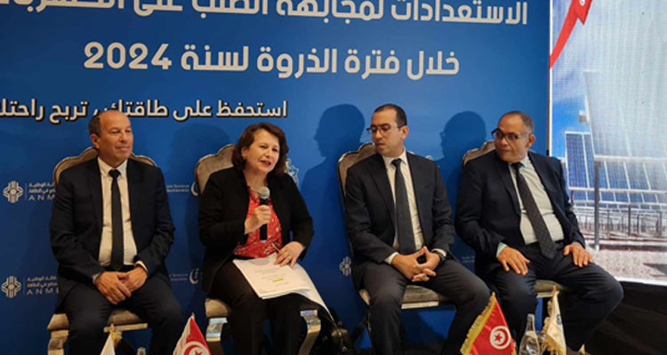 وزيرة الصناعة والمناجم والطاقة: حريصون على توفير الكهرباء لكل التونسيين
