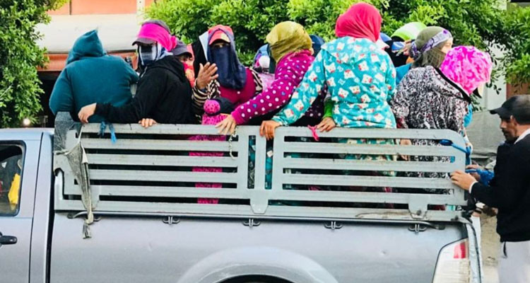 شمس الدين عدواني: حوادث المرور في نقل العاملات الفلاحيات محل اهتمام جميع الأطراف المتداخلة