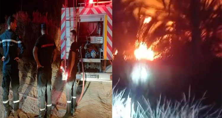 توزر: السيطرة على حريق اندلع في واحات حامة الجريد