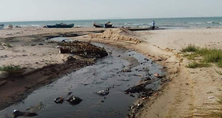 نائبة بالبرلمان: ''نحن أمام جريمة بيئية في الضاحية الجنوبية''