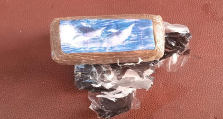 الحمامات - نابل: القبض على شاب بحوزته صفيحة من مخدّر القنب الهندي