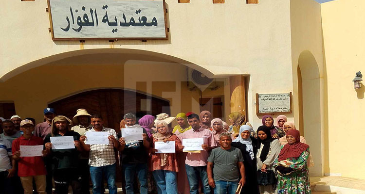 قبلي: أعوان وإطارات شركة الغراسات والبستنة ينفذون وقفات احتجاجية أمام مقرات المعتمديات بالجهة