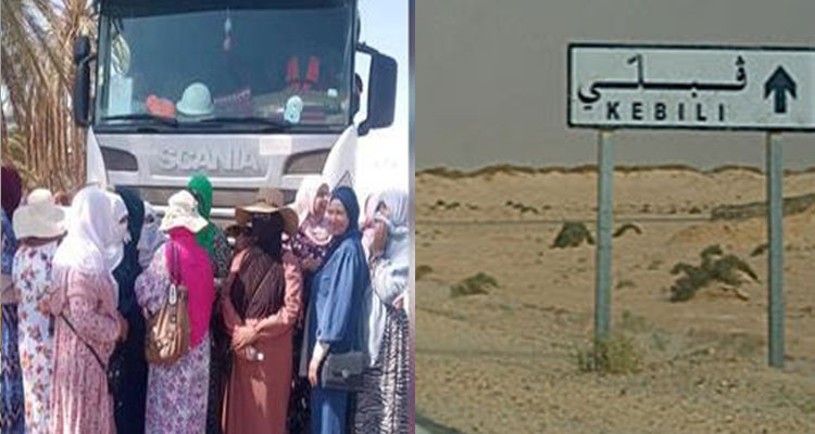قبلي: مسيرة مساندة لعدد من أعوان شركة  البستنة الذين يمثلون اليوم أمام إحدى الفرق الأمنية بالعوينة
