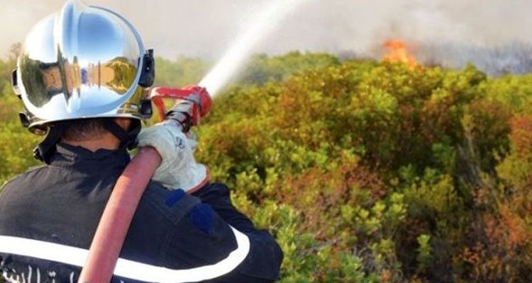 الكاف: السيطرة على حريق بجبل عين الفضيل في معتمدية القصور