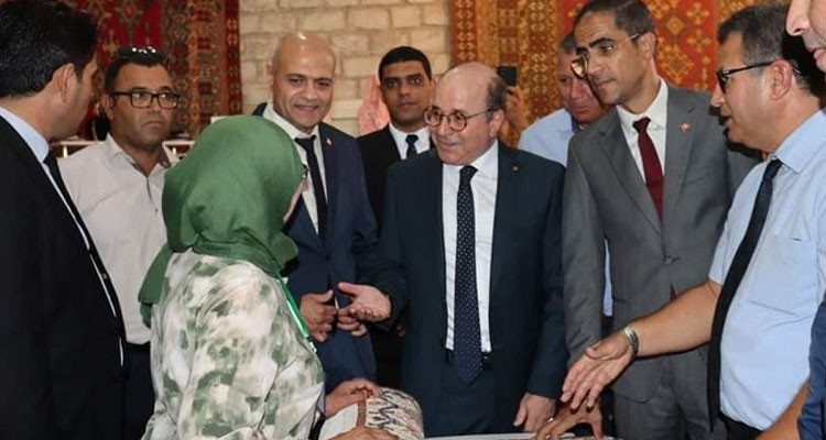 وزير السياحة يعاين عددا من المشاريع المعطلة بالقيروان