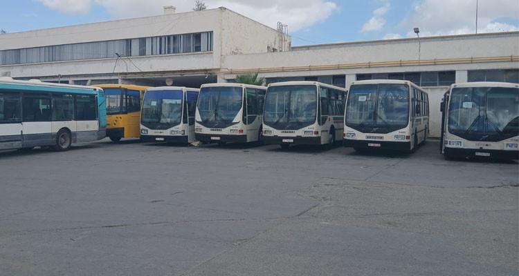 شركة نقل تونس: توفير 490 حافلة و42 عربة مترو للجولان بمناسبة العودة المدرسية