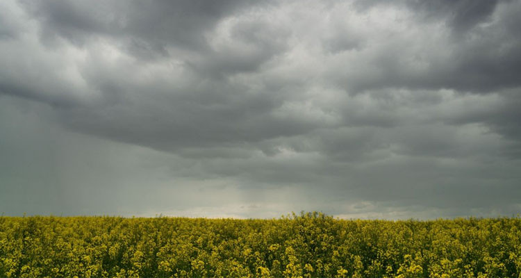 طقس اليوم:  خلايا رعدية مصحوبة بأمطار أحيانا غزيرة