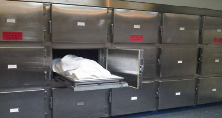 قبلي: العثور على جثة آدمية متحللة بجبل الطباقة