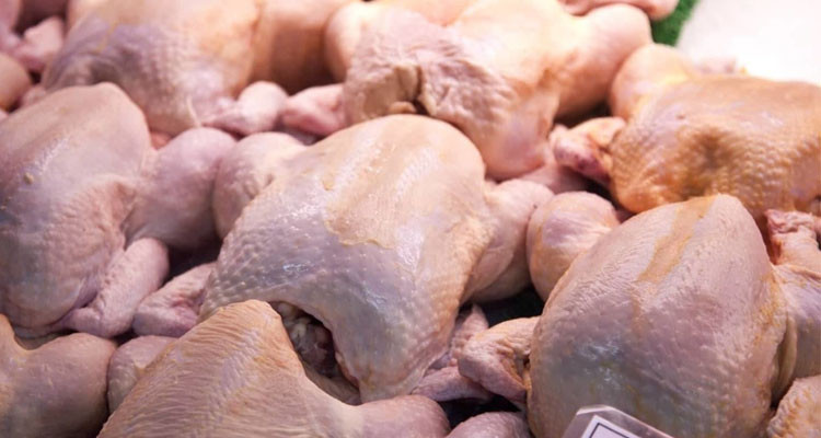 رئيس الغرفة الوطنية لتجار لحوم الدواجن: تم اليوم ضخ 304 طن من الدجاج في السوق