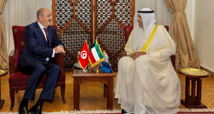 فحوى لقاء وزير الخارجية بنظيره الكويتي