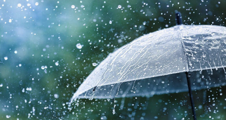 خلايا رعدية مصحوبة بأمطار بالجنوب والحرارة في انخفاض