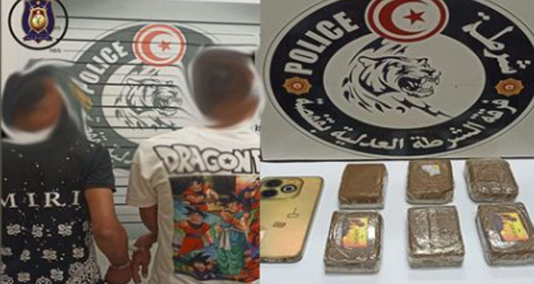 قفصة: الاحتفاظ بمروّجي مواد مخدرة وحجز 6 صفائح من ''الزطلة''