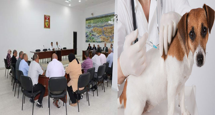 مدنين: تسجيل 8 حالات إصابة بداء الكلب لدى الحيوانات