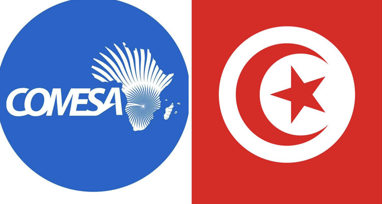 وزير الخارجية يشارك في قمة الكوميسا ببورندي