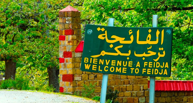 جندوبة : مندوبية الفلاحة تدعو إلى الحصول على ترخيص   قبل زيارة محمية الفايجة