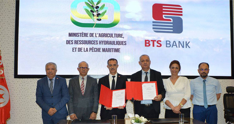 إمضاء منشور مشترك بين وزارة الفلاحة  والبنك التونسي للتضامن لتمويل موسم التمور 2024-2025