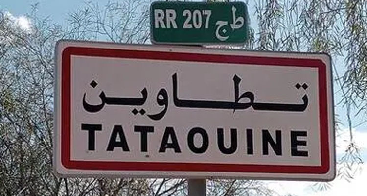 تطاوين: برمجة زراعة حوالي 650 هكتار من الحبوب المروية