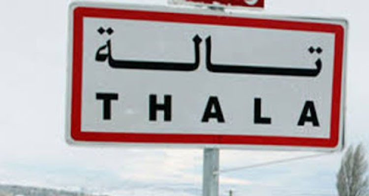 تالة- القصرين: الكشف عن عملية سرقة من داخل إحدى الضيعات الفلاحية