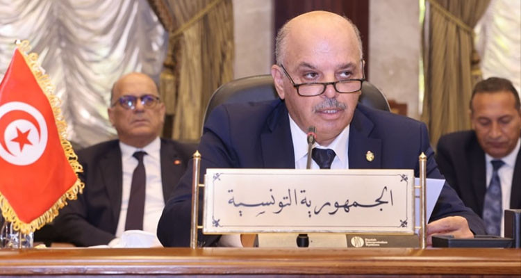 وزير النقل  يدعو إلى تعزيز التعاون والتضامن بين الدول العربية من أجل تحقيق نقل مستدام وذكي