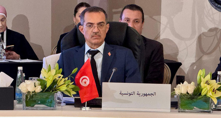 وزير الفلاحة: تونس تدعو إلى التعاون العربي في مجال الماء