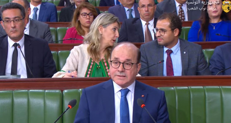 وزير السياحة: عدد الوافدين على تونس هذه السنة تجاوز 8.6 مليون سائح