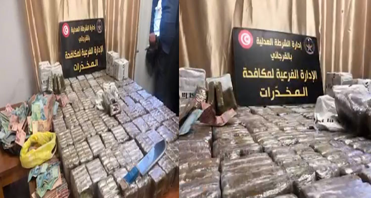 وزارة الداخلية: القبض على مروجي مخدرات وحجز 919 صفيحة من مخدر الزطلة في المنيهلة