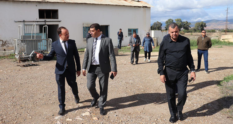 جندوبة: والي الجهة يأذن بإجراء تدقيق مالي وإداري لشركتين تعاونيتين