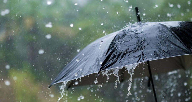 طقس اليوم: أمطار متفرقة وتكون محليا رعدية وغزيرة