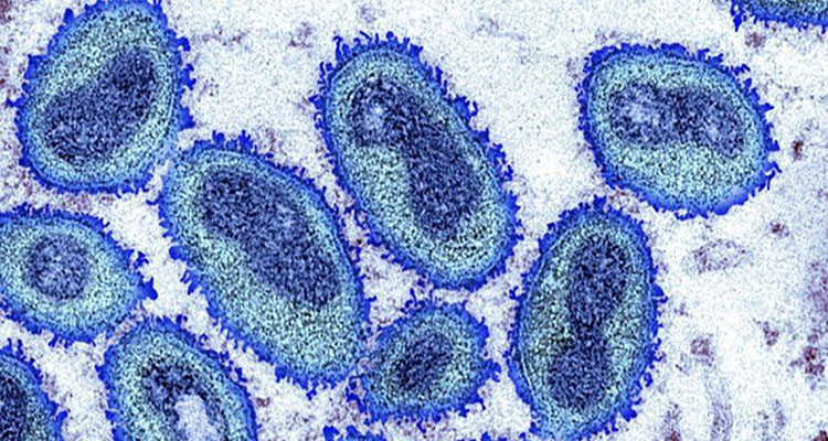 منظمة الصحة العالمية: جدري القردة لا يزال يمثل حالة طوارئ صحية عالمية