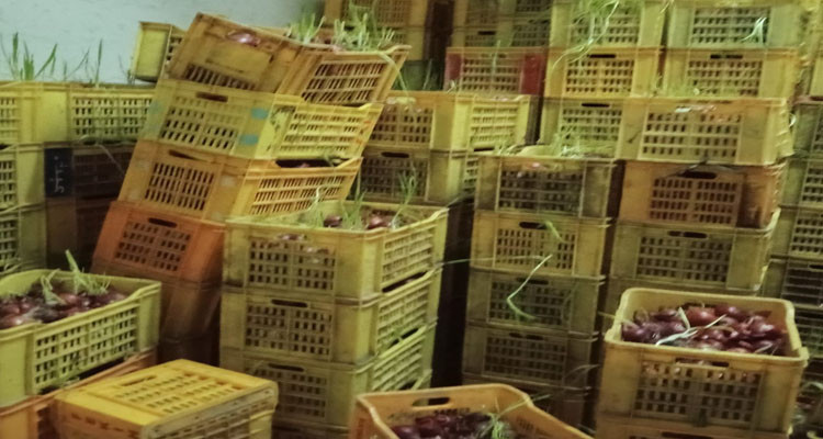 سوسة: حجز قرابة 18طنا من مادة البطاطا المعدة للاستهلاك