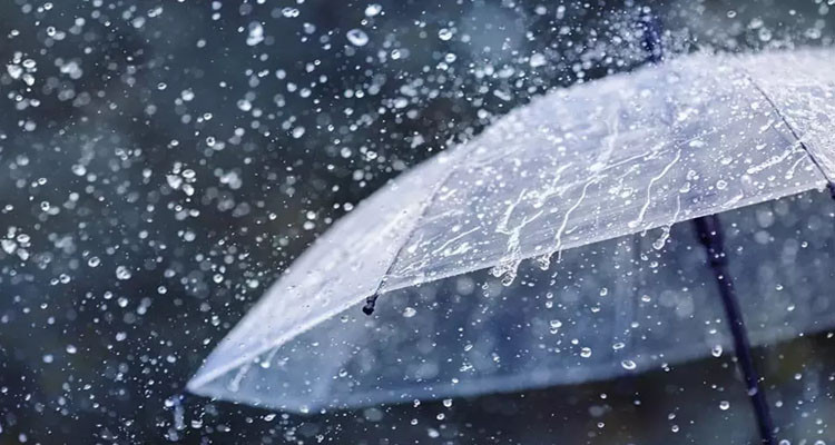 طقس اليوم: أمطار متفرقة بالشمال وأحيانا غزيرة بالمناطق الساحلية
