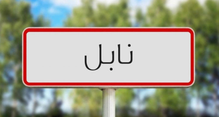 والية نابل تدعو مسؤولي الجهة إلى التسريع في تجهيز محطة البئر للماء الصالح للشراب بمنزل موسى