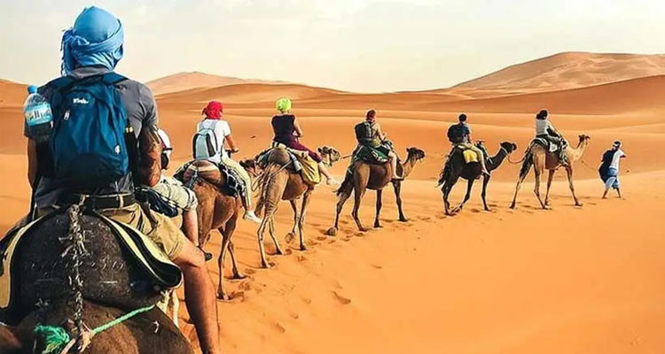 مندوب السياحة بتوزر: عدد الوافدين بلغ 155 ألف وافد إلى غاية 20 ديسمبر الجاري