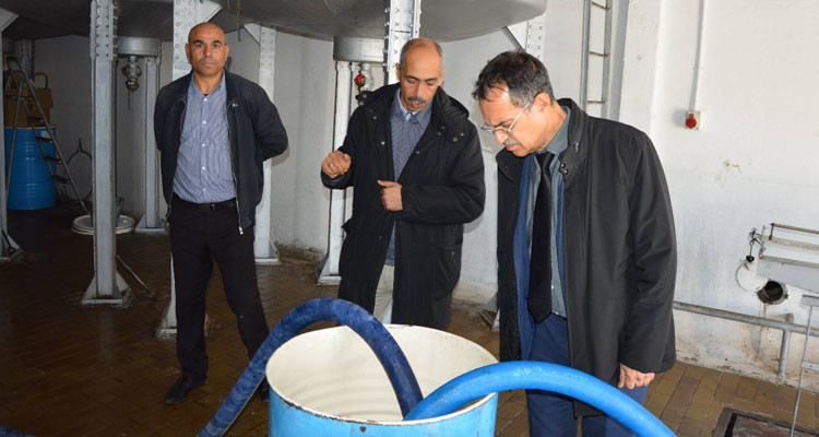 وزير الفلاحة يدعو منتجي زيت الزيتون إلى الإقبال على تخزين منتجاتهم لدى الدّيوان لتعديل الأسعار