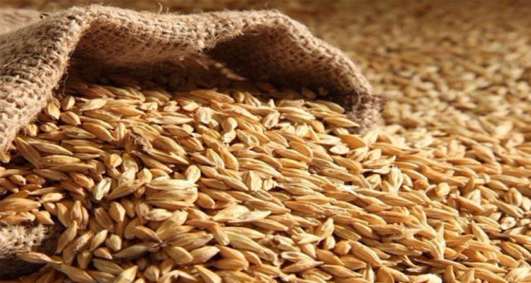 بنزرت: حجز 1.7 طن من القمح بأحد المخازن بمنزل بورقيبة