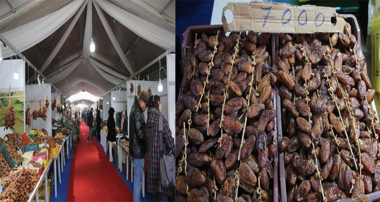 شارع الحبيب بورقيبة: فضاء لبيع التّمور من المنتج إلى المستهلك بأسعار تفاضليّة