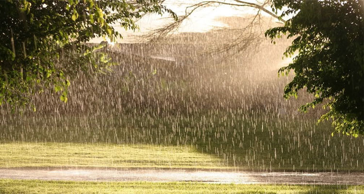 Today’s weather