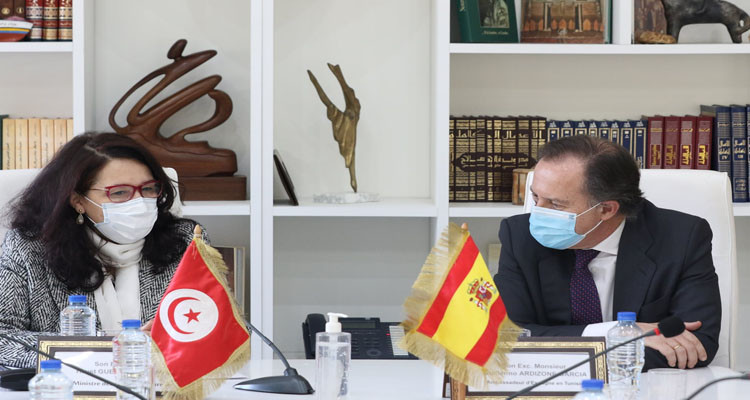 The Minister of Cultural Affairs receives the Ambassador of Spain