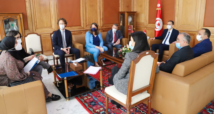 The Minister of State Property and Land Affairs meets the German Ambassador