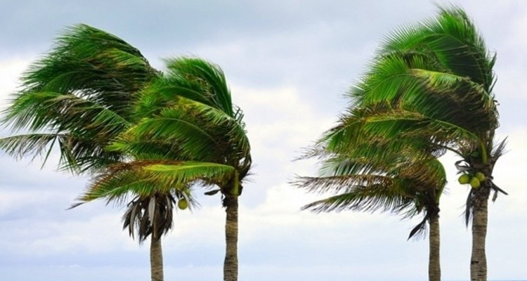 Strong winds in some areas with slight rise in temperatures