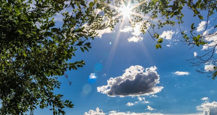 Today's weather