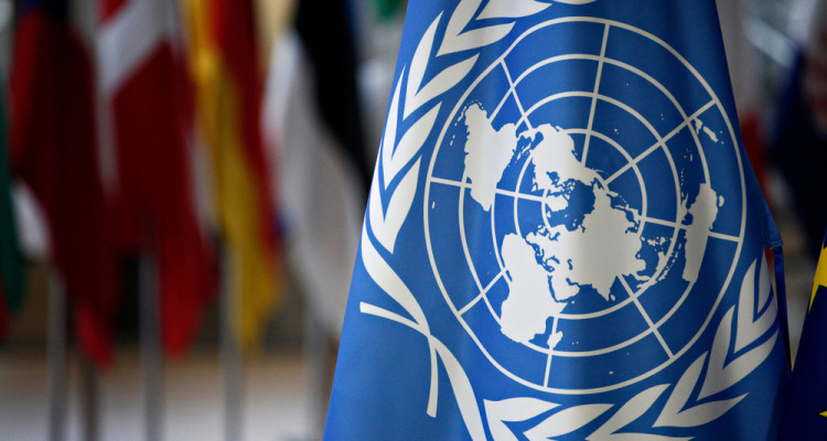 The UN allocates $100 million to help 7 countries