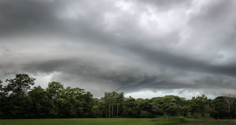 Today's weather